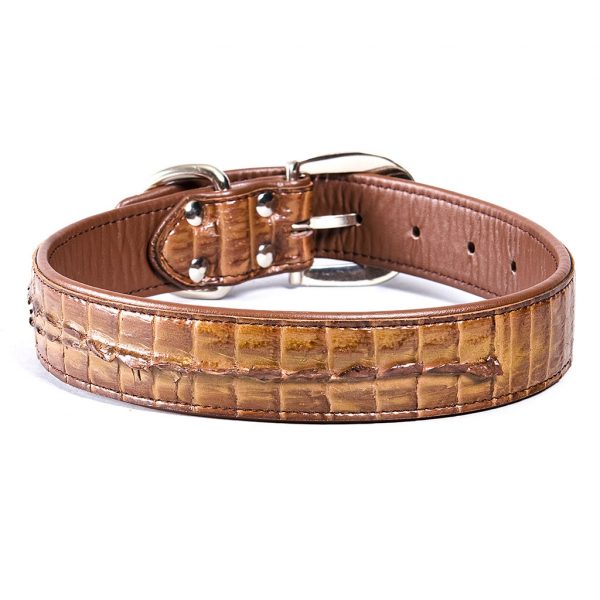 HALSBAND