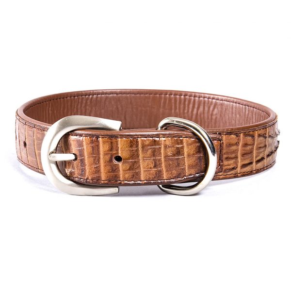 HALSBAND