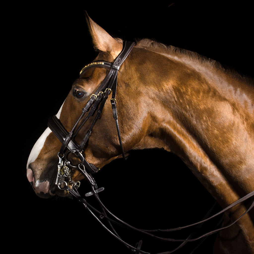 KANDARTRÄNS Cob