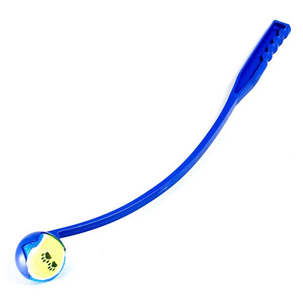 BOLLSLUNGA