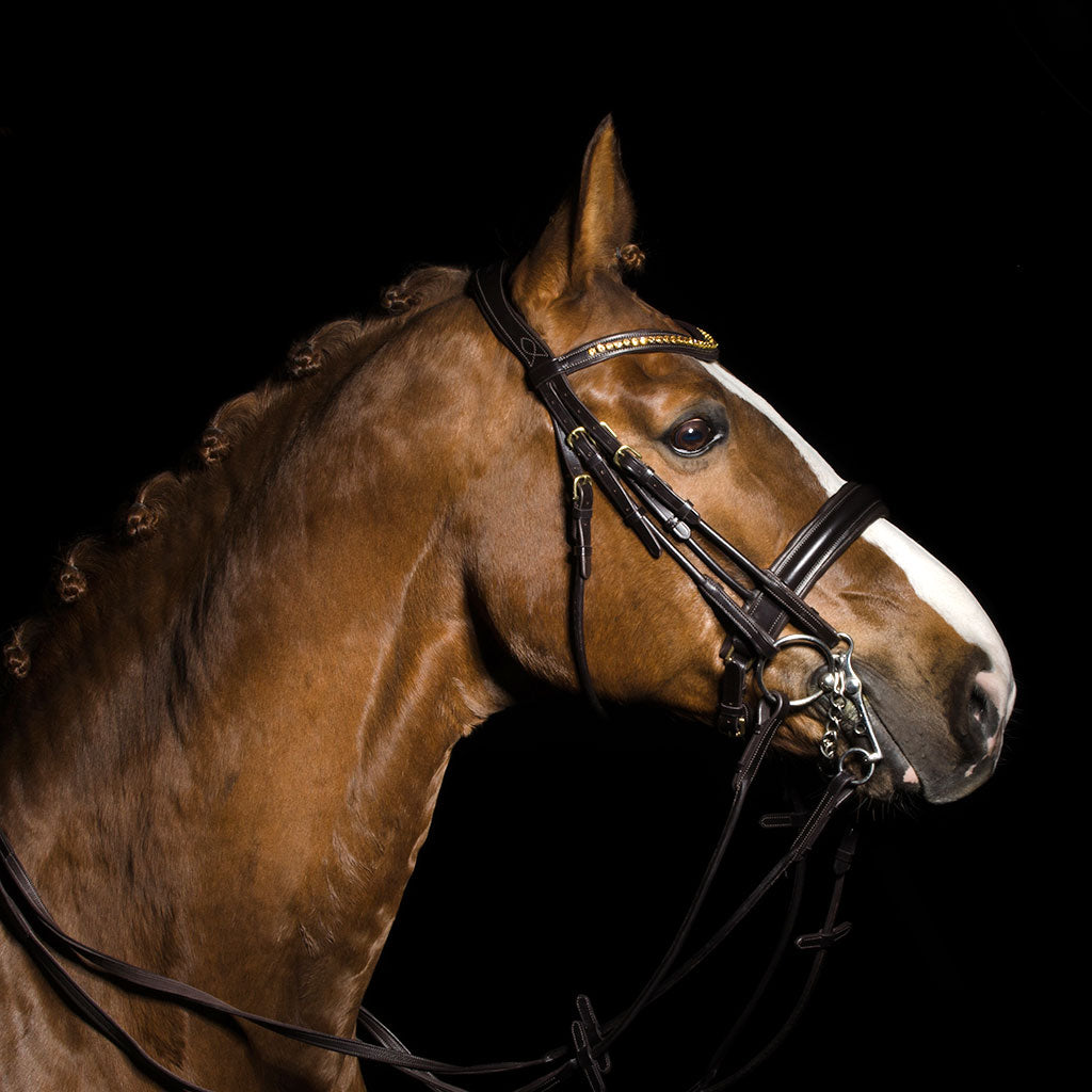 KANDARTRÄNS Cob