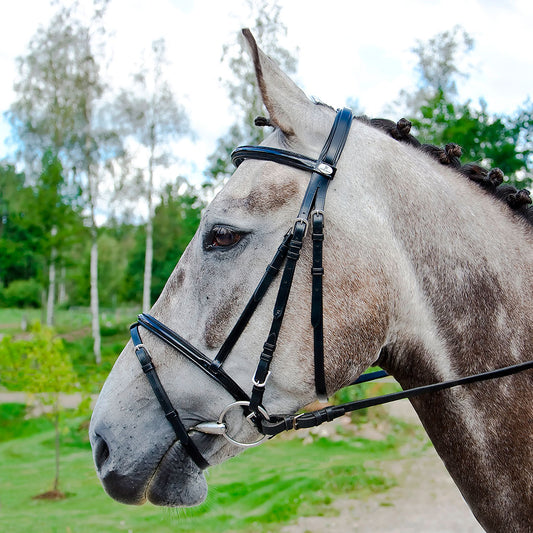 TRÄNS Full